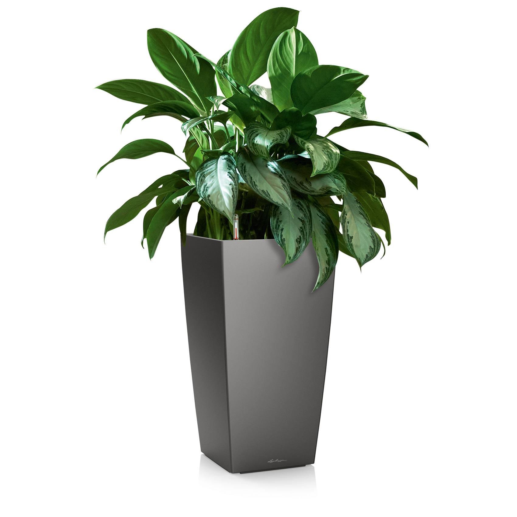 CUBICO 30 charcoal metallic